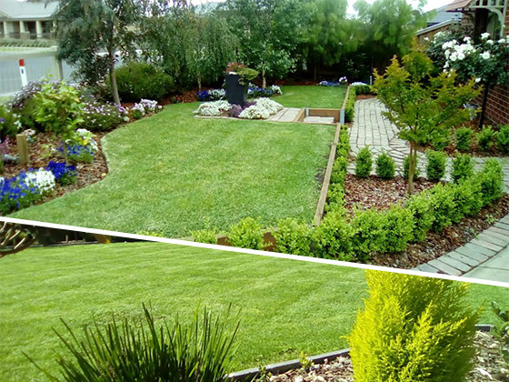residential lawn mowing pakenham