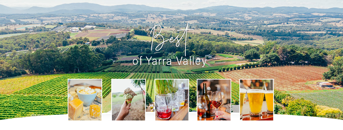 best of yarra valley wine tours